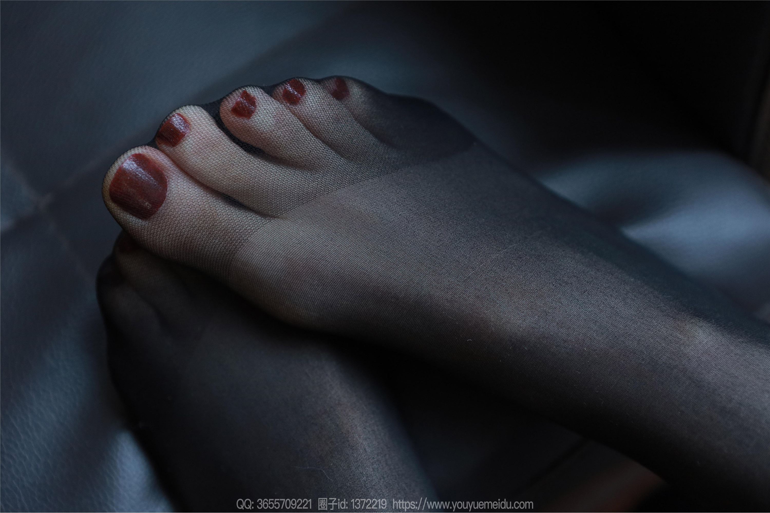 IESS异思趣向  2023.12.20 丝享家 1616 团团《乌黑红润》